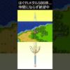 Thumbnail of post image 036