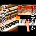 Thumbnail of related posts 187