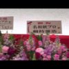 Thumbnail of post image 032
