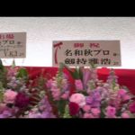 Thumbnail of related posts 061
