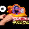 Thumbnail of post image 039