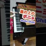 Thumbnail of related posts 117