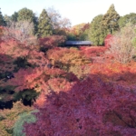 Thumbnail of related posts 050