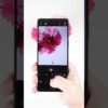 Thumbnail of post image 128