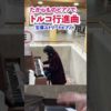Thumbnail of post image 013