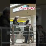 Thumbnail of related posts 050