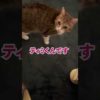 Thumbnail of post image 101