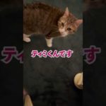 Thumbnail of related posts 057