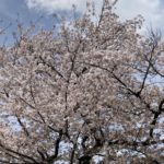 Thumbnail of related posts 135