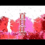 Thumbnail of related posts 038