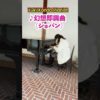 Thumbnail of post image 116