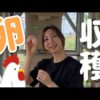Thumbnail of post image 125
