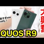 Thumbnail of related posts 158