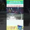 Thumbnail of post image 093