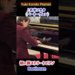 Thumbnail of related posts 117
