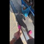 Thumbnail of related posts 071